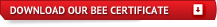 Download Our BEE Certificate