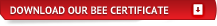 Download Our BEE Certificate